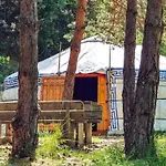 Tente Toile & Bois - 2 Chambres, Terrasse - Api-1-52-789 Campsite *